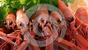 Fresh seafood huge shrimps fish