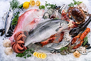 Fresh seafood on ice background