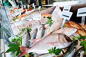 Fresh seafood on ice at the fish market
