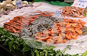 Fresh seafood on ice at la Boqueria market in Barcelona