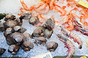 Fresh seafood on ice for sale in Kuromon Ichiba Market photo