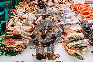 Fresh seafood on a ice stall in fishmarket