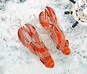 Fresh seafood lobster