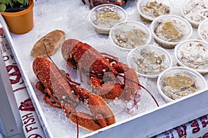 Fresh Seafood lobster for sale market