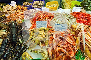 Fresh seafood on market counter