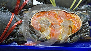 fresh seafood on a market in pattaya