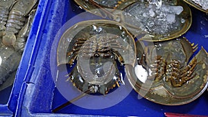 fresh seafood on a market in pattaya