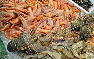 Fresh seafood