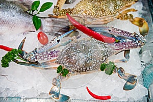 Fresh seafood mixed with various kinds of sea animals, including fish, shrimp, shellfish, arranged on ice and decorated with Vario