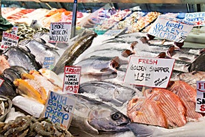 Fresh Seafood Offering at Seattle Pike Place Market, Washington