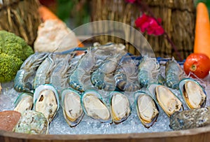 Fresh seafood part animal from the sea,mussel,River shrimp, Scallop, prawn with iced on tray. Fresh seafood giant freshwater praw