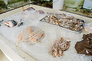 Fresh seafood in Pearson's Port