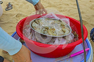 Fresh seafood photographed in vietnam fish market