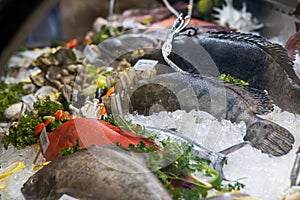 Fresh seafood placed on the ice for sale at the supermarket
