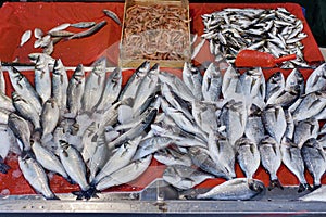 Fresh Seafood photo