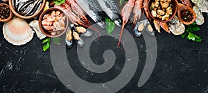 Fresh seafood on a stone background. Fish, shrimp, mussels, caviar.