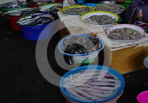 Fresh seafoods in traditional Market, Banyuwangi, East Java, Indonesia