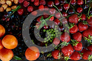 Fresh seasonal fruits and berries: strawberries, apricots, cherries, mulberry, raspberry under natural light. Healthy