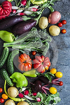 Fresh seasonal vegetables food background. Aubergines, tomatoes, radishes, peppers, broccoli, potatoes, beets on a dark background