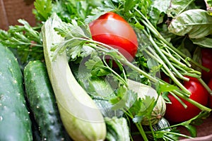 Fresh seasonal vegetables, homemade garden vegetables