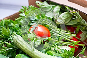 Fresh seasonal vegetables, homemade garden vegetables