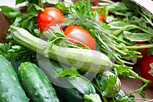 Fresh seasonal vegetables, homemade garden vegetables