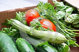 Fresh seasonal vegetables, homemade garden vegetables