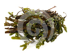 Fresh Seaweed - Healthy Nutrition