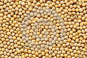 Fresh seed soybean background