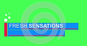 Fresh sensations breaking news TV broadcast lower third infographic in 4K