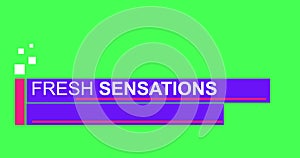 Fresh sensations breaking news TV broadcast lower third infographic in 4K