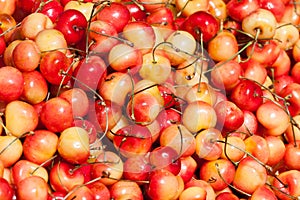 Fresh set of Red and yellow cherries