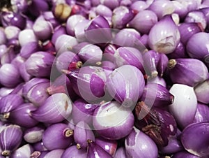 fresh shallots as a cooking spice