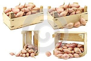 Fresh fresh shallots in a wooden box