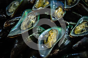 Fresh shelled mussels for sale at the Ban Na Kluea seafood market