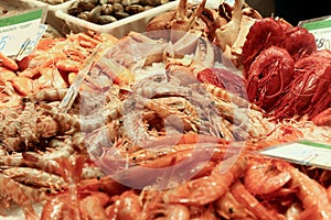 Fresh shellfish on the market desk. photo