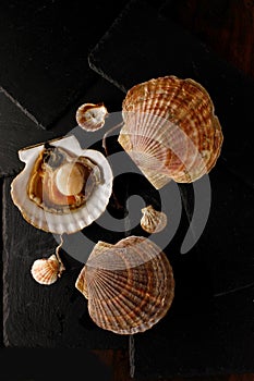 Fresh, shellfish, raw scallops on black slate stone background. Top view,