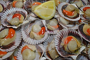 Fresh Shellfish at the Mercado Central, Santiago, Chile photo