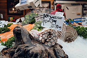 Fresh Shetland razor clams on sale in Borough Market, London, UK