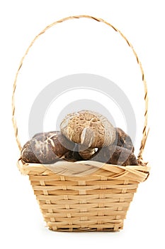 Fresh shiitake mushroom in basket