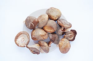 Fresh shiitake mushroom