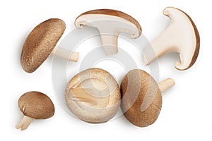 Fresh Shiitake mushroom isolated on white background with clipping path. Top view. Flat lay