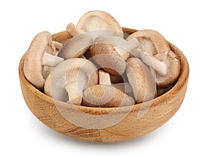 Fresh Shiitake mushroom in a wooden bowl isolated on white background with clipping path and full depth of field.