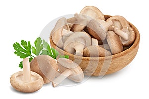 Fresh Shiitake mushroom in a wooden bowl isolated on white background with clipping path and full depth of field.