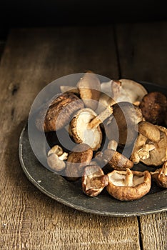 Fresh shiitake mushrooms in moody natural light setting with vintage retro style