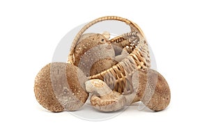 Fresh shiitake mushrooms in wicker basket over white