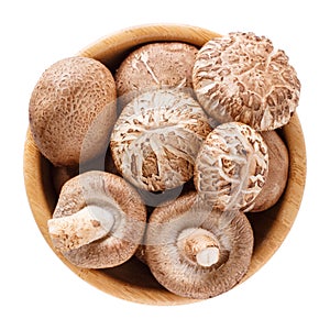 Fresh shiitake mushrooms in wooden bowl isolated on white. Top view