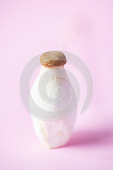 Fresh shimeji mushroom. Pink background. Close up