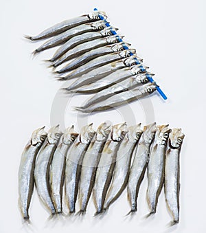 Fresh Shishamo Fish