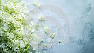Fresh shredded cabbage on a light table, closed